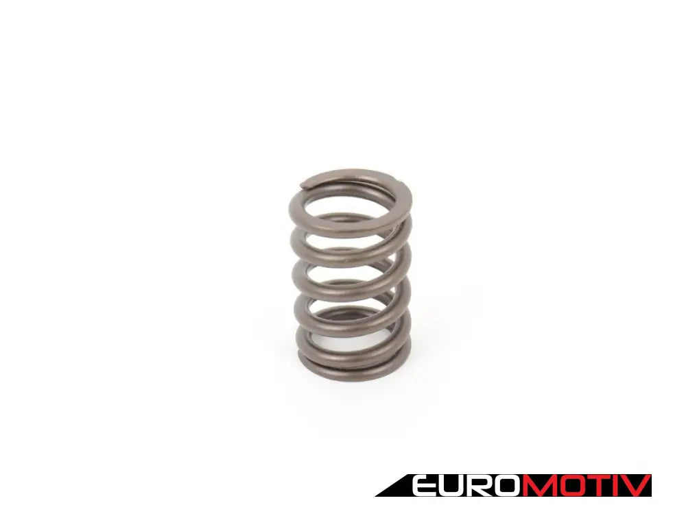 Schrick Valve Spring (Single Spring)