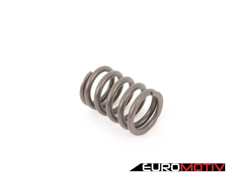 Schrick Valve Spring (Single Spring)