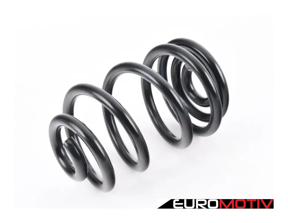 Stock Replacement E46 M3 Rear Spring - Coupe Single