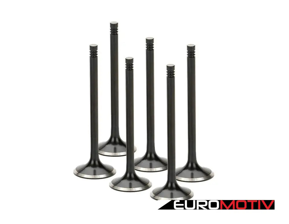 Supertech Exhaust Valve - Standard Size Set Of 6