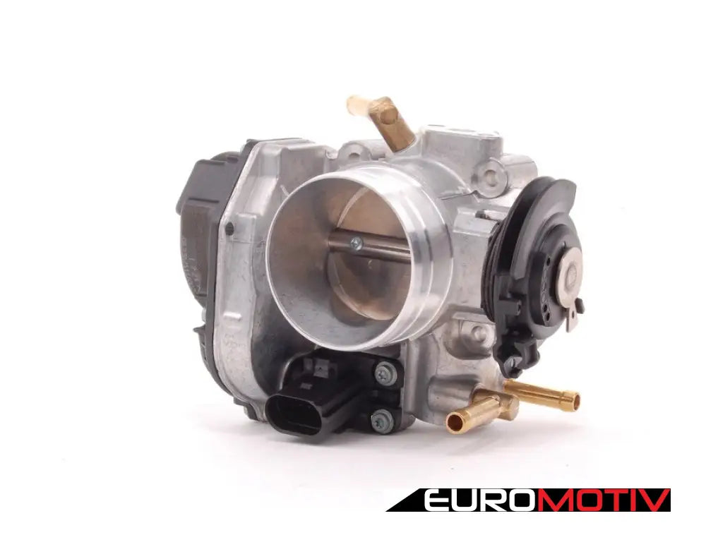 Throttle Body Assembly