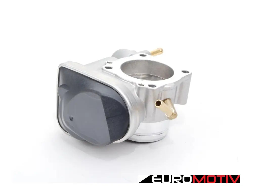 Throttle Body Assembly