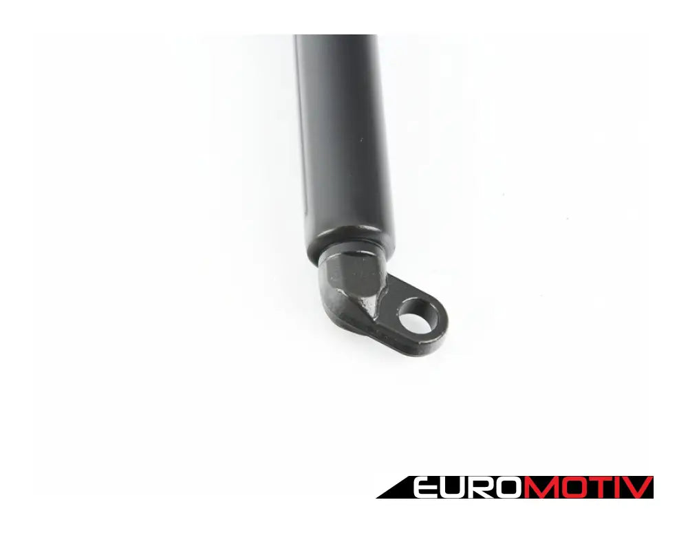 Trunk Shock - Gas Pressurized Support