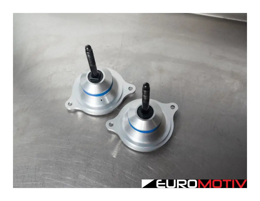 Tunable Semi-Solid Engine Mounts - Pair