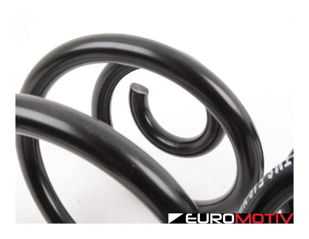 Turner Motorsport E46 Awd Replacement Rear Springs - Pair