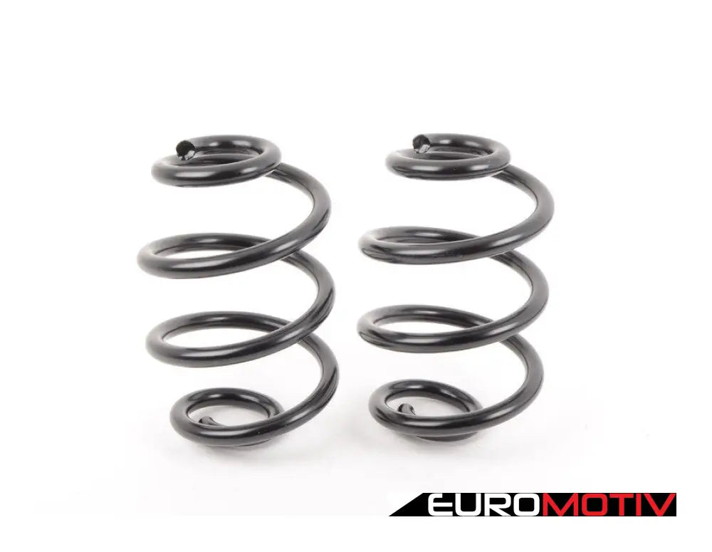 Turner Motorsport E46 Awd Replacement Rear Springs - Pair