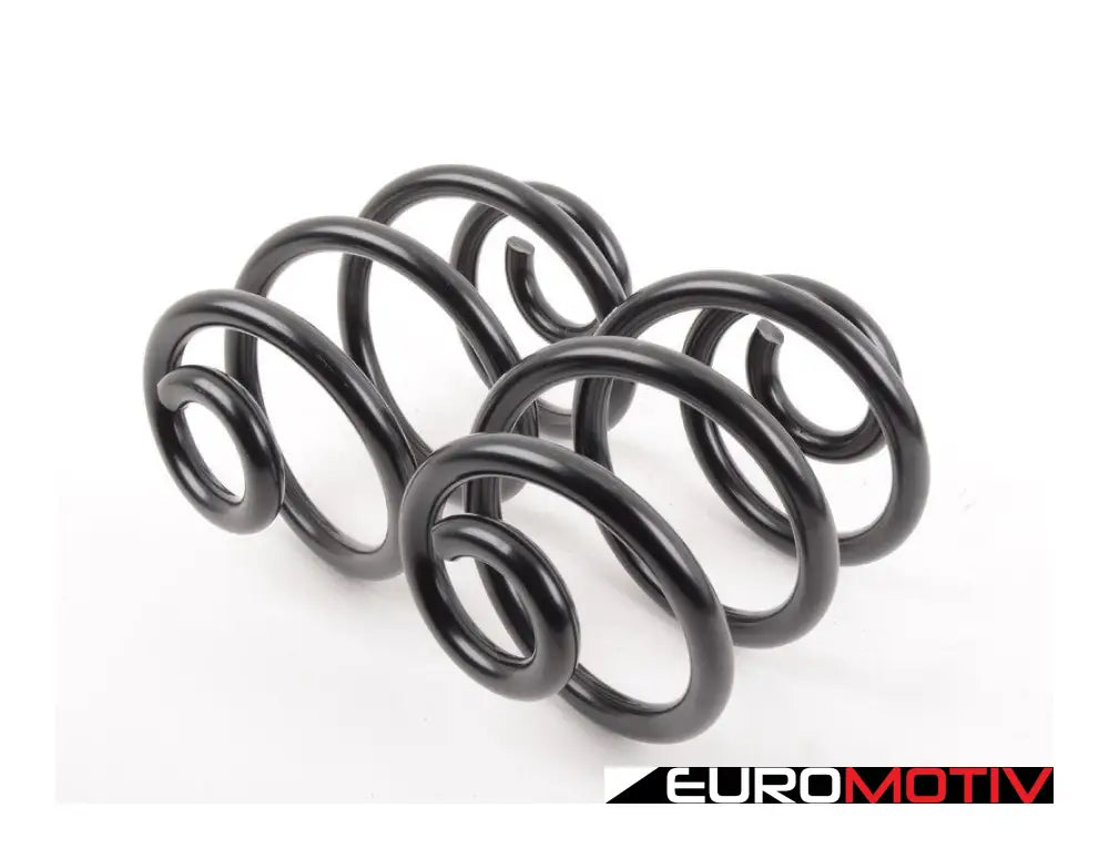 Turner Motorsport E46 Awd Replacement Rear Springs - Pair