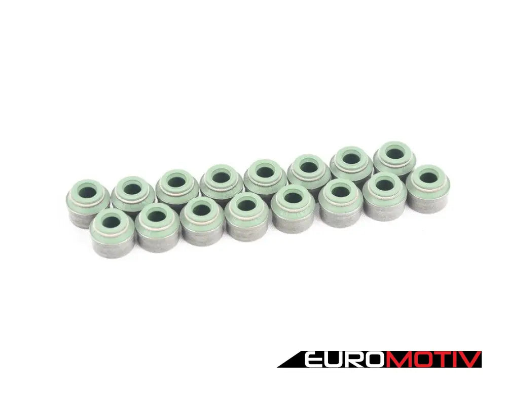 Valve Stem Seal Repair Kit - Set Of 16