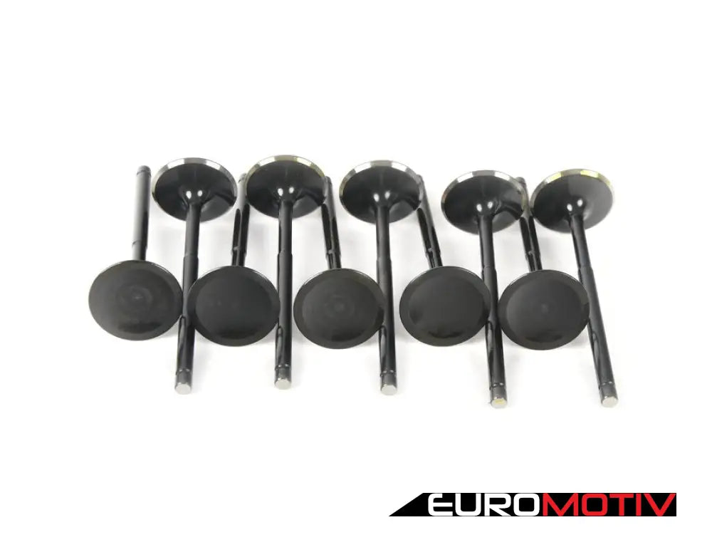 Vw 2.5L 5Cyl Black Nitrided Intake Valve - Set Of 10