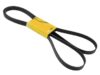 CONTINENTAL Belt 6K X 2475 6PK 2475