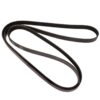 Genuine VW/Audi VW Accessory Drive Belt (6K 1610) (Alternator) 022145933AP