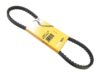 CONTINENTAL Belt 13 X 825 13X825