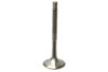 VW Exhaust Valve 038109611E