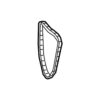 Genuine VW/Audi Engine Timing Camshaft Sprocket 04E109088AE – Genuine VW/Genuine VW/Audi