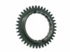 Rauch & Spiegel Gear Teeth 901 302 241 06
