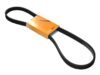 Continental Belt 6DPK X 1195 - 6DPK 1195