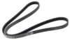 Genuine VW/Audi Accessory Drive Belt (5K 1590) (Alternator) (Water Pump) 06B903137D
