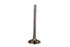 Genuine VW/Audi VW Intake Valve 06E109601E