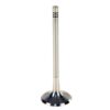 Intake Valve