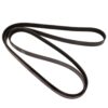 Porsche Accessory Drive Belt (6K 1130) 06L903137A
