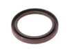 ZF Torque Converter Seal 0734 310 316