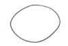 ZF O-Ring 0734 313 162