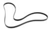 Genuine VW/Audi Accessory Drive Belt (6K 2460) 077903137D