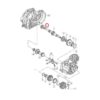 Manual Trans Input Shaft Bearing