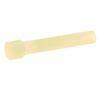 Transmission Drain Plug