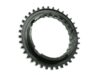 Rauch & Spiegel Gear Teeth 930 302 241 03