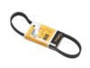 CONTINENTAL Belt 5K X 736 5K736