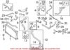 Engine Coolant Hose