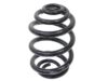 Suplex Coil Spring - 06212
