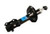VW Strut Assembly – Front 1H0413031P