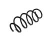 VW Coil Spring – Front 1K0411105AQ