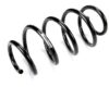 Coil Spring – Front