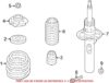Coil Spring – Front
