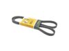 CONTINENTAL Belt 5K X 1432 5K1432