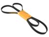 CONTINENTAL Belt 6K X 2460 6PK 2460