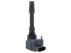 BERU Ignition Coil ZSE163