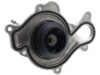 GRAF Water Pump PA1481