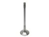 TRW Exhaust Valve 331117