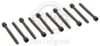 Audi VW Engine Cylinder Head Bolt Set WHT001017 – Elring 341400