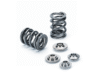 Supertech VW VR6 24V R32 Dual Valve Spring Kit