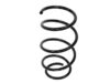 Suplex Coil Spring - 06163
