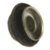 VW Strut Mount – Front 357412329