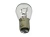 Bulb - Priced Each