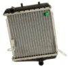 Audi Auxiliary Radiator – Passenger Side 8E0121212E – Behr 376765271