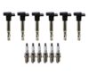 Denso Ignition Coil Kit (6 Pieces)