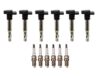 Denso Ignition Coil Kit  (6 Pieces)